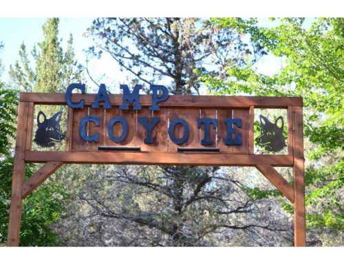 metal-garden-art-camp-coyote