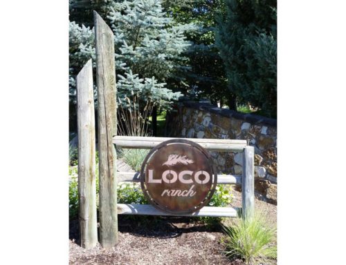custom-metal-loco-ranch-gate-sign
