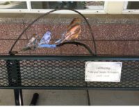 metal retirement plaque birds