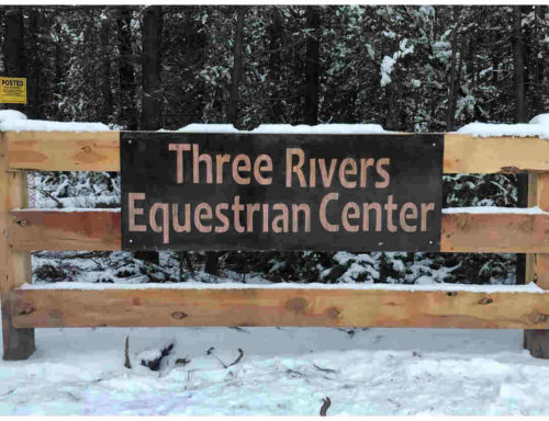 custom equestrian center sign