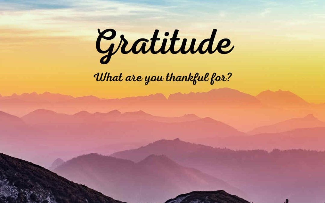 Gratitude – What Are You Thankful For