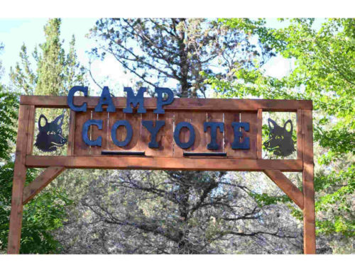 camp coyote metal art